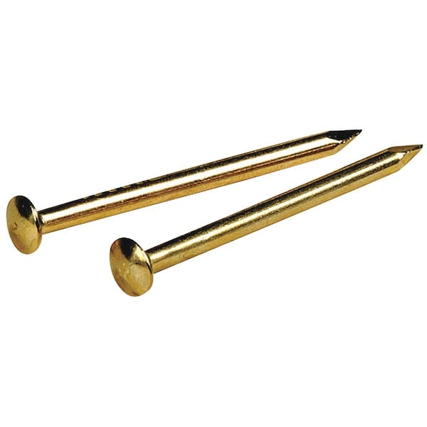Hillman Anchor Wire 3/4 In. 16 ga 1.5 Oz. Brass Plated Steel Escutcheon Pins 122620 - main